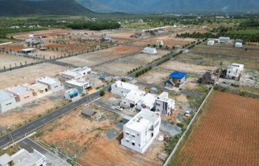 The Temple Town, Teachers Colony